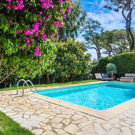 Garoupe Cap D'antibes *